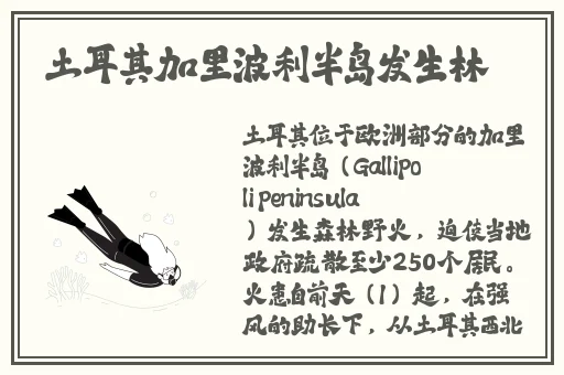 逆战礼包